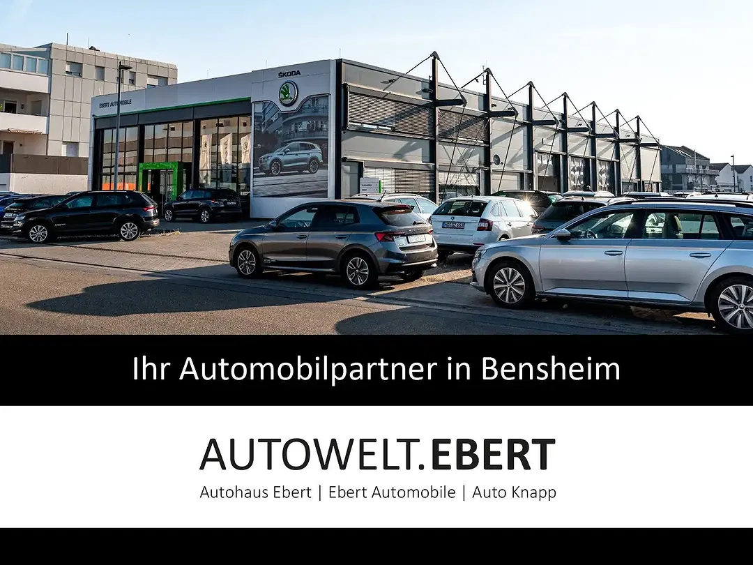 Skoda Fabia - Thumbnail 15
