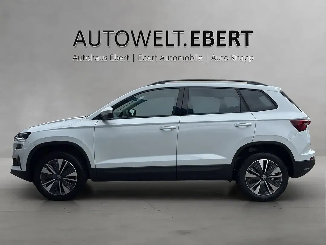 Skoda Karoq - Thumbnail 2