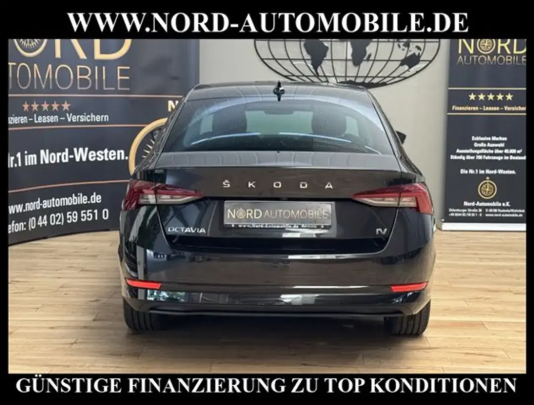 Skoda Octavia - Thumbnail 8