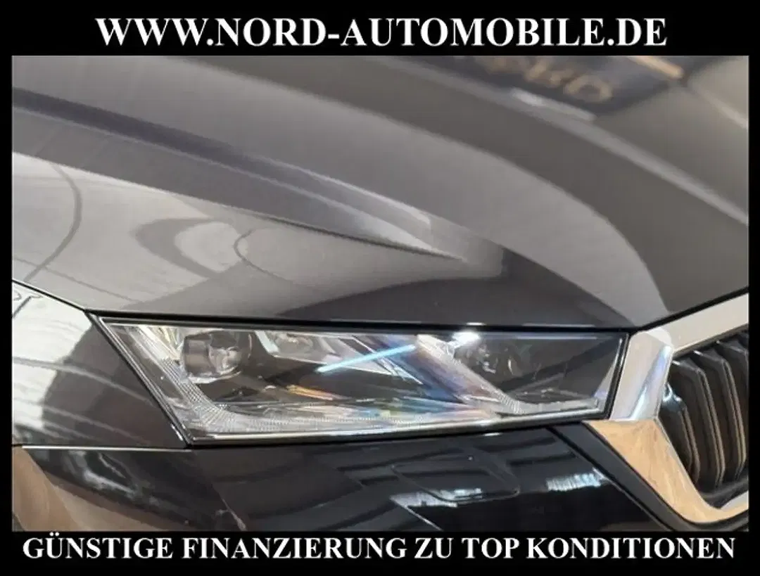 Skoda Octavia - Thumbnail 12