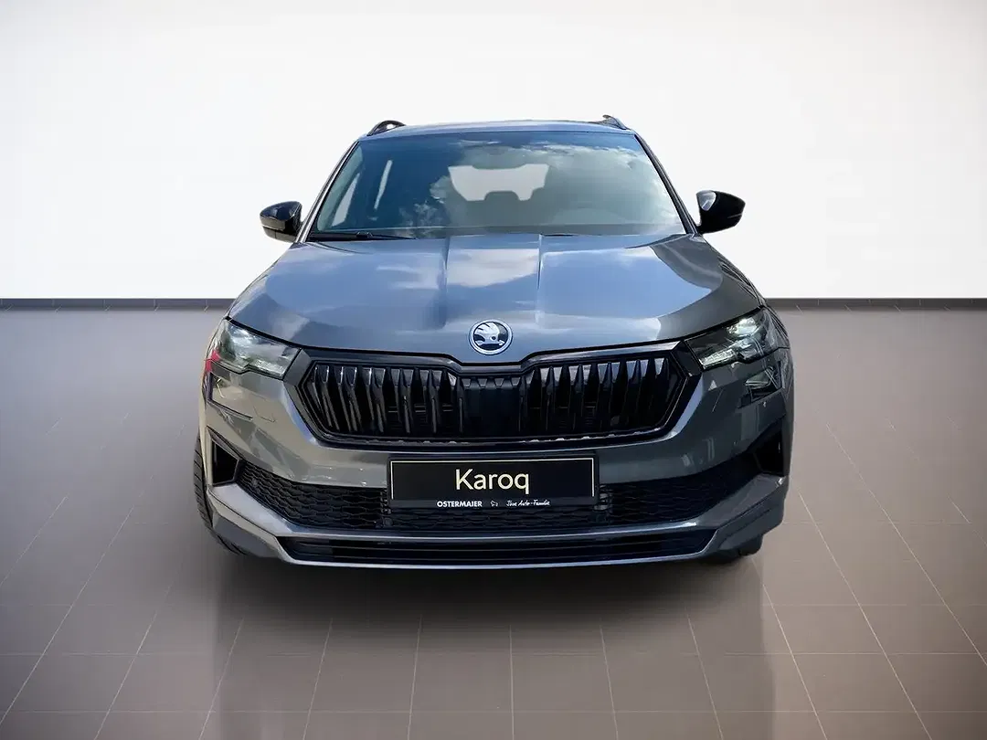 Skoda Karoq - Thumbnail 2