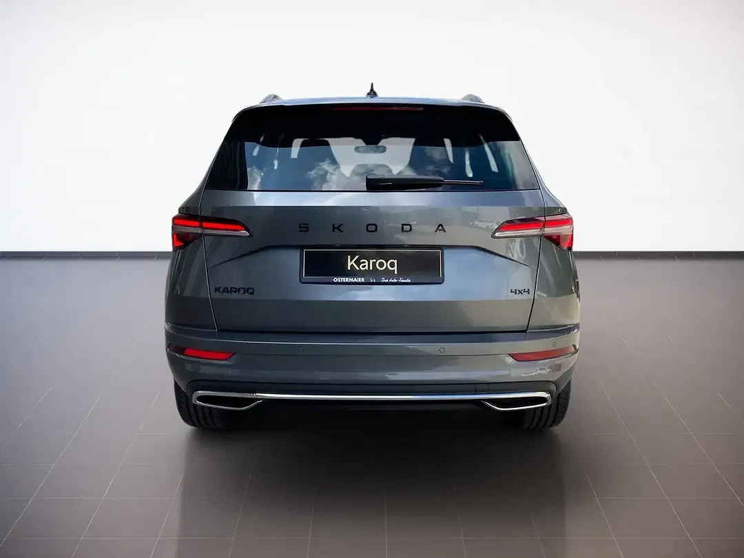 Skoda Karoq - Thumbnail 4