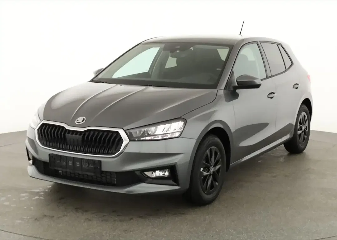 Skoda Fabia - Afbeelding 1
