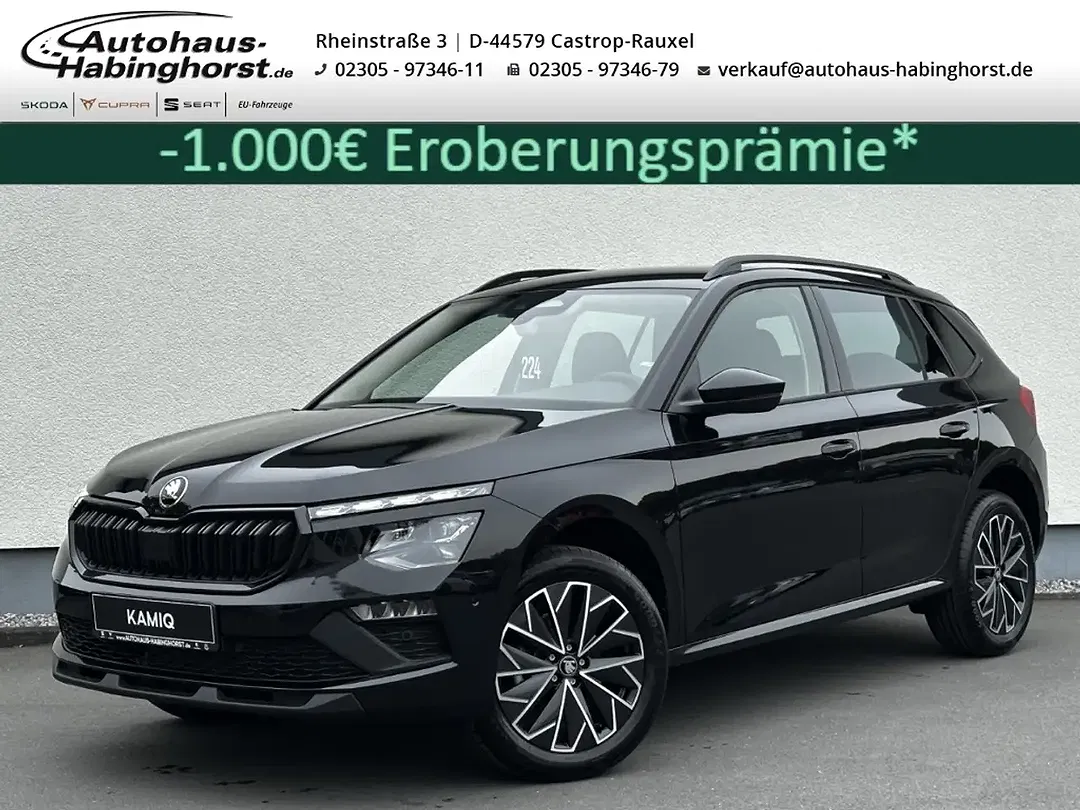 Skoda Kamiq - Thumbnail 1