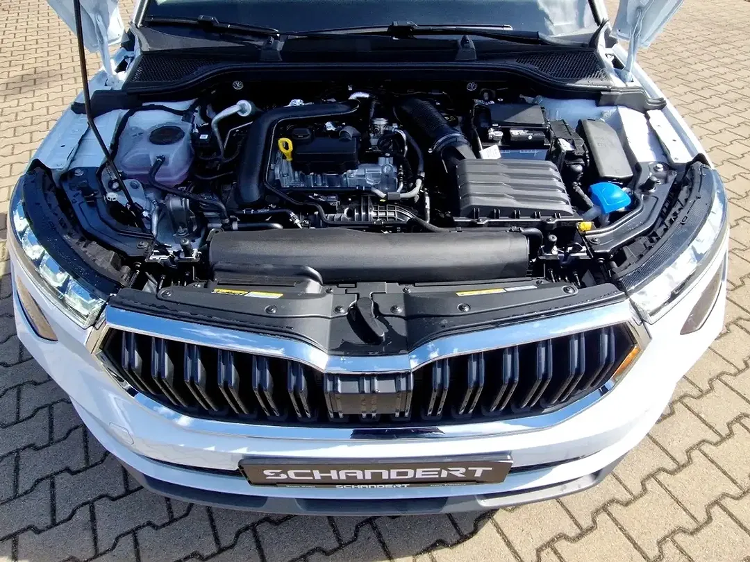 Skoda Kamiq - Thumbnail 15