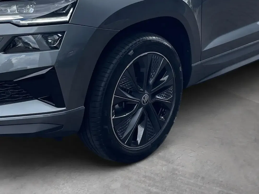 Skoda Karoq - Thumbnail 6