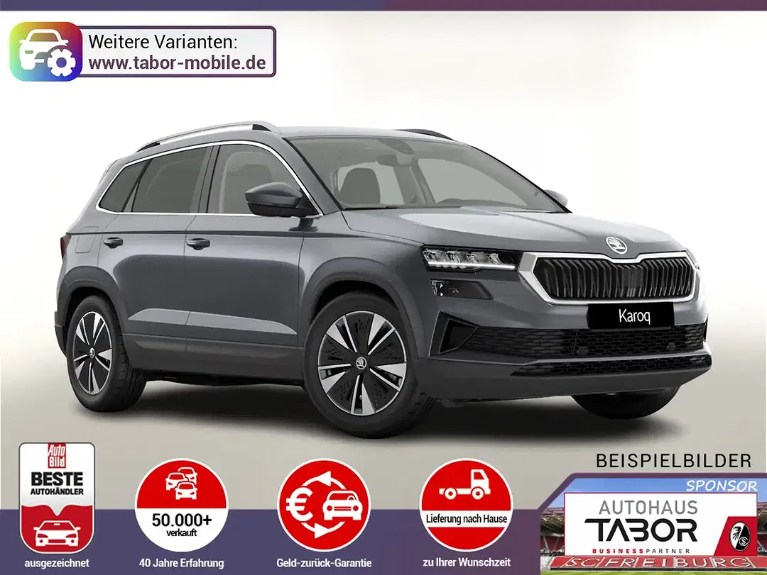 Skoda Karoq - Thumbnail 1