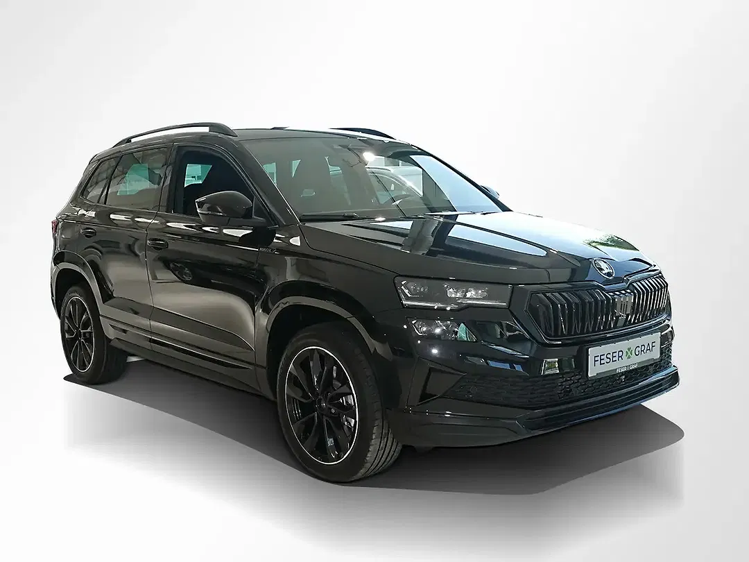 Skoda Karoq - Thumbnail 2