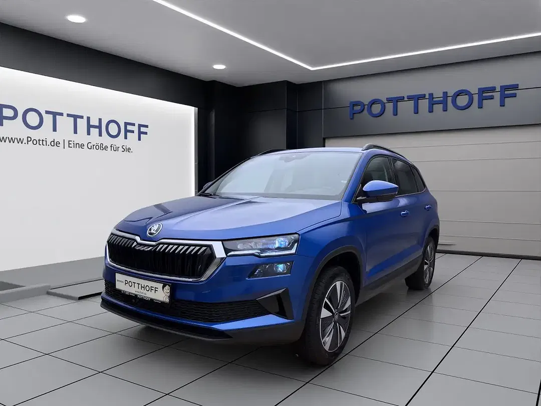 Skoda Karoq - Thumbnail 2