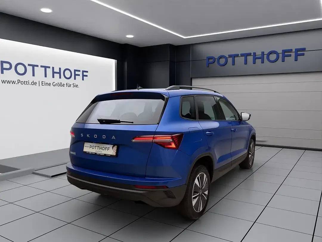Skoda Karoq - Thumbnail 6