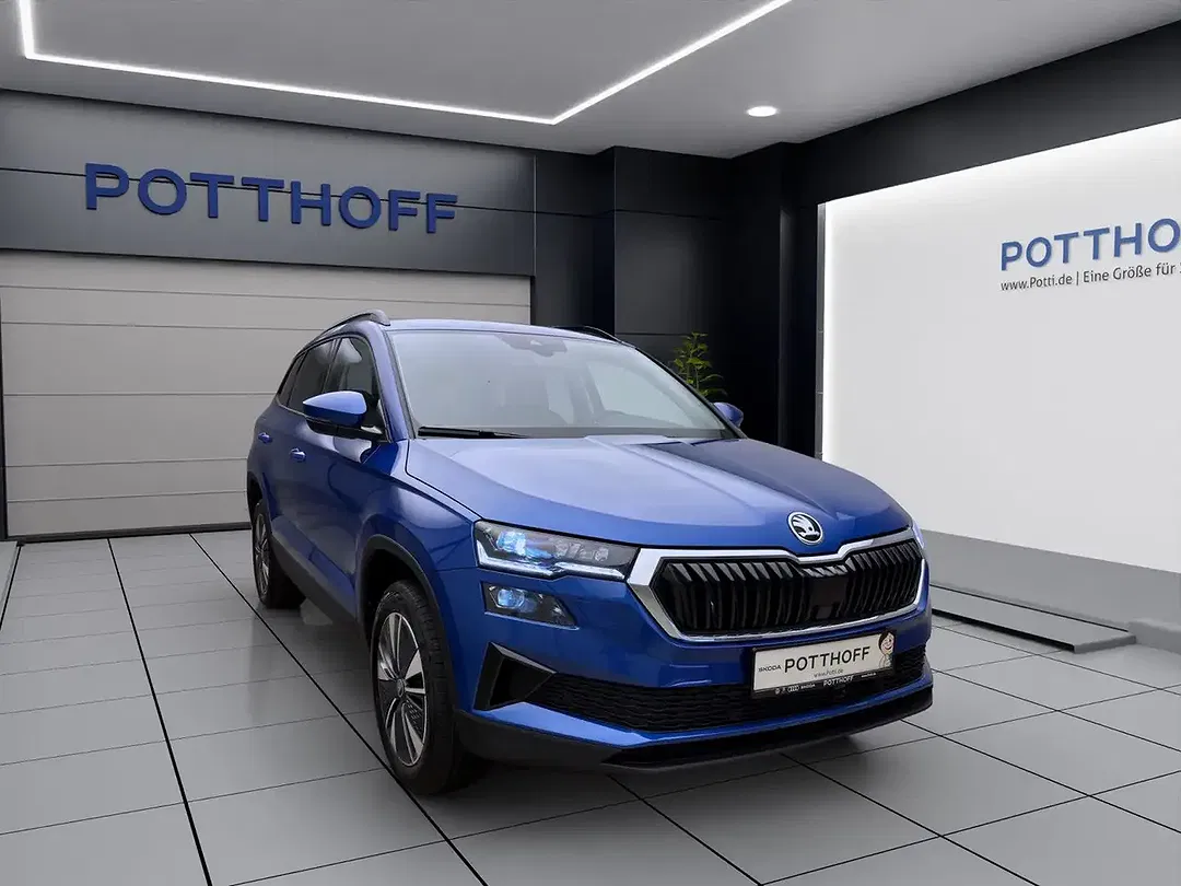 Skoda Karoq - Thumbnail 7