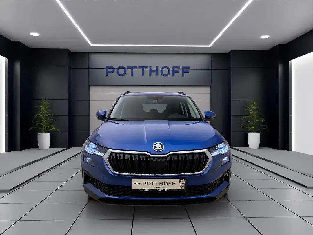 Skoda Karoq - Thumbnail 8