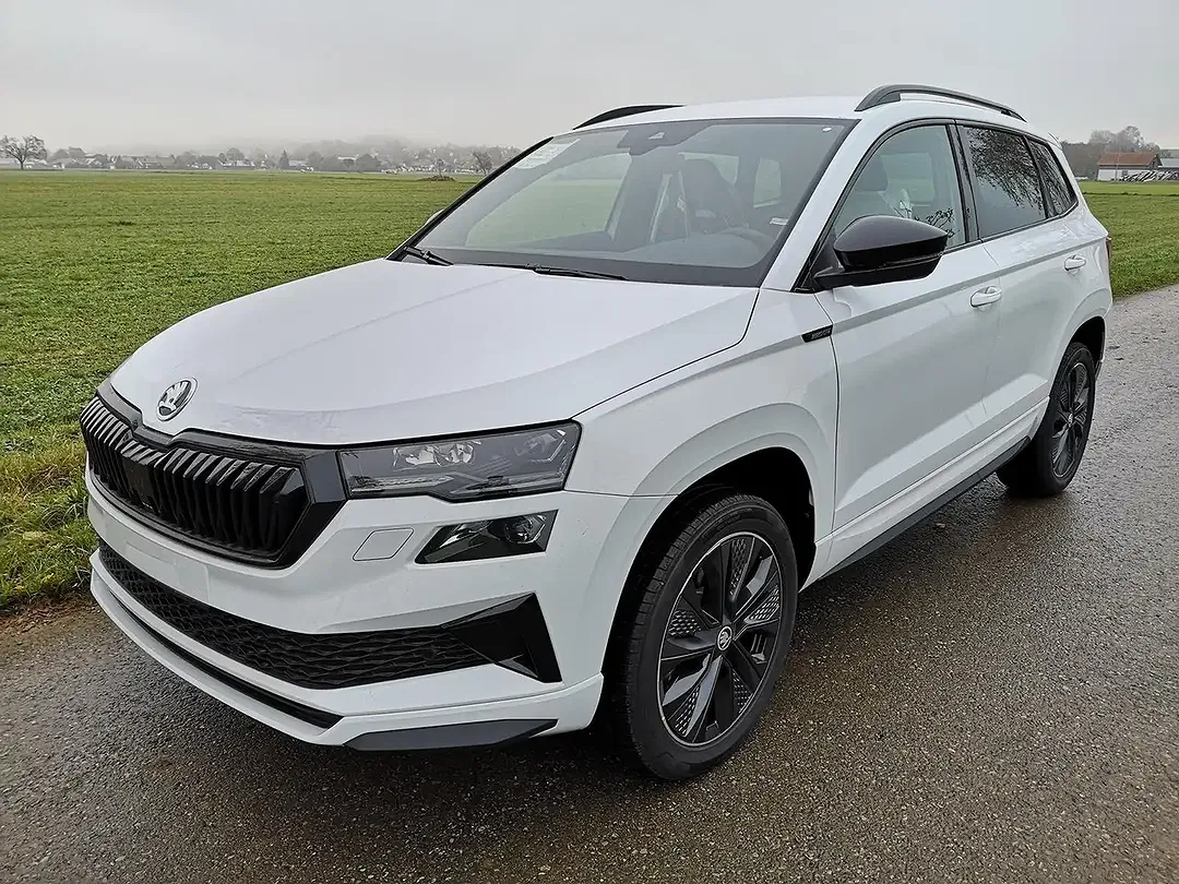 Skoda Karoq - Thumbnail 1