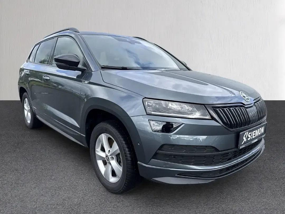 Skoda Karoq - Thumbnail 10