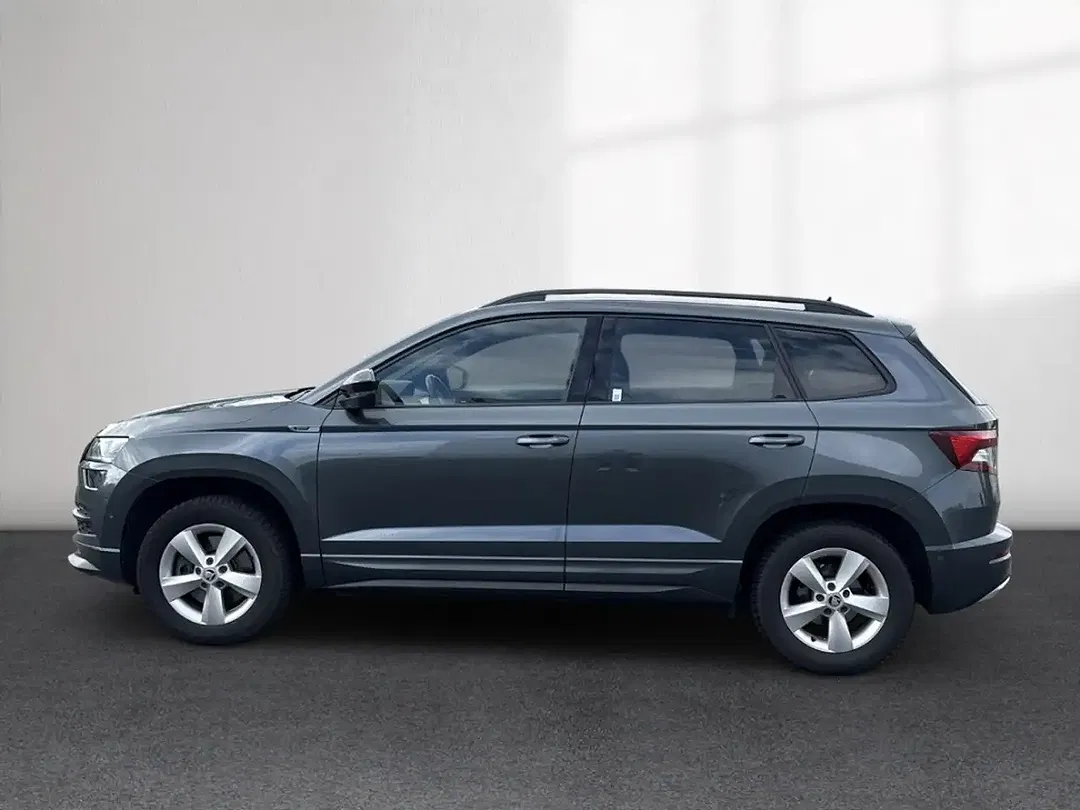 Skoda Karoq - Thumbnail 2