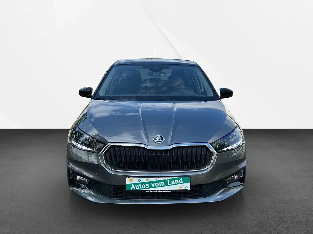 Skoda Fabia - Thumbnail 2