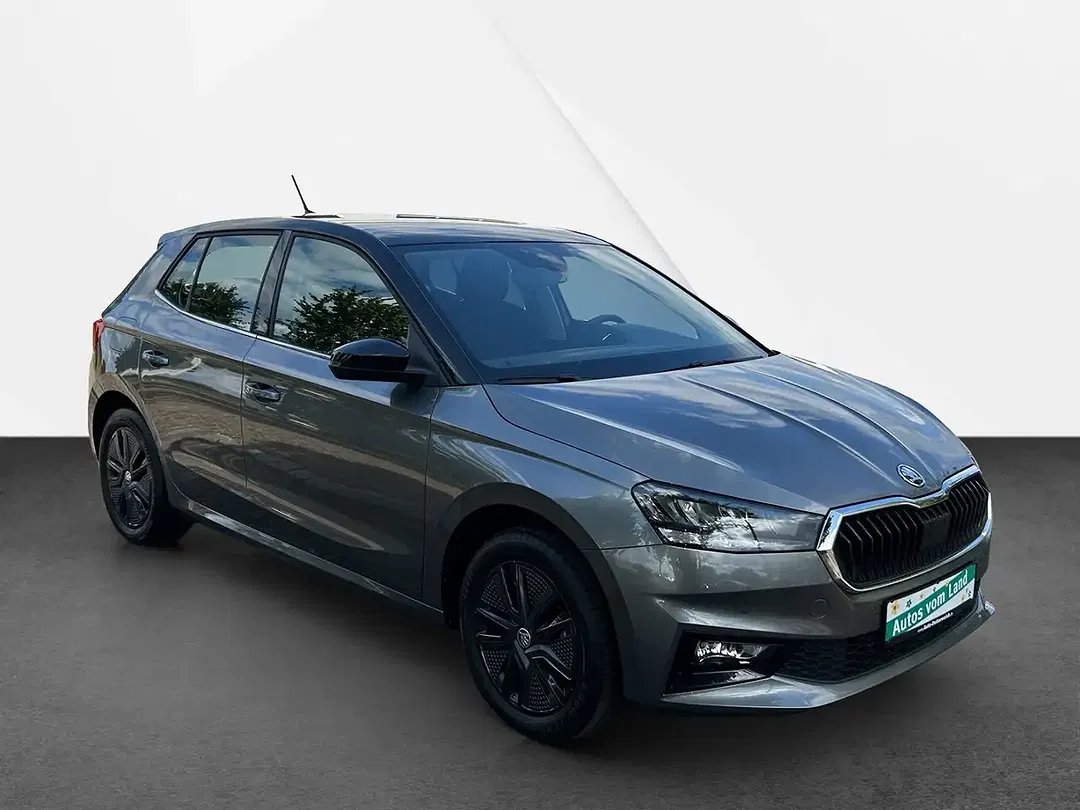 Skoda Fabia - Thumbnail 3