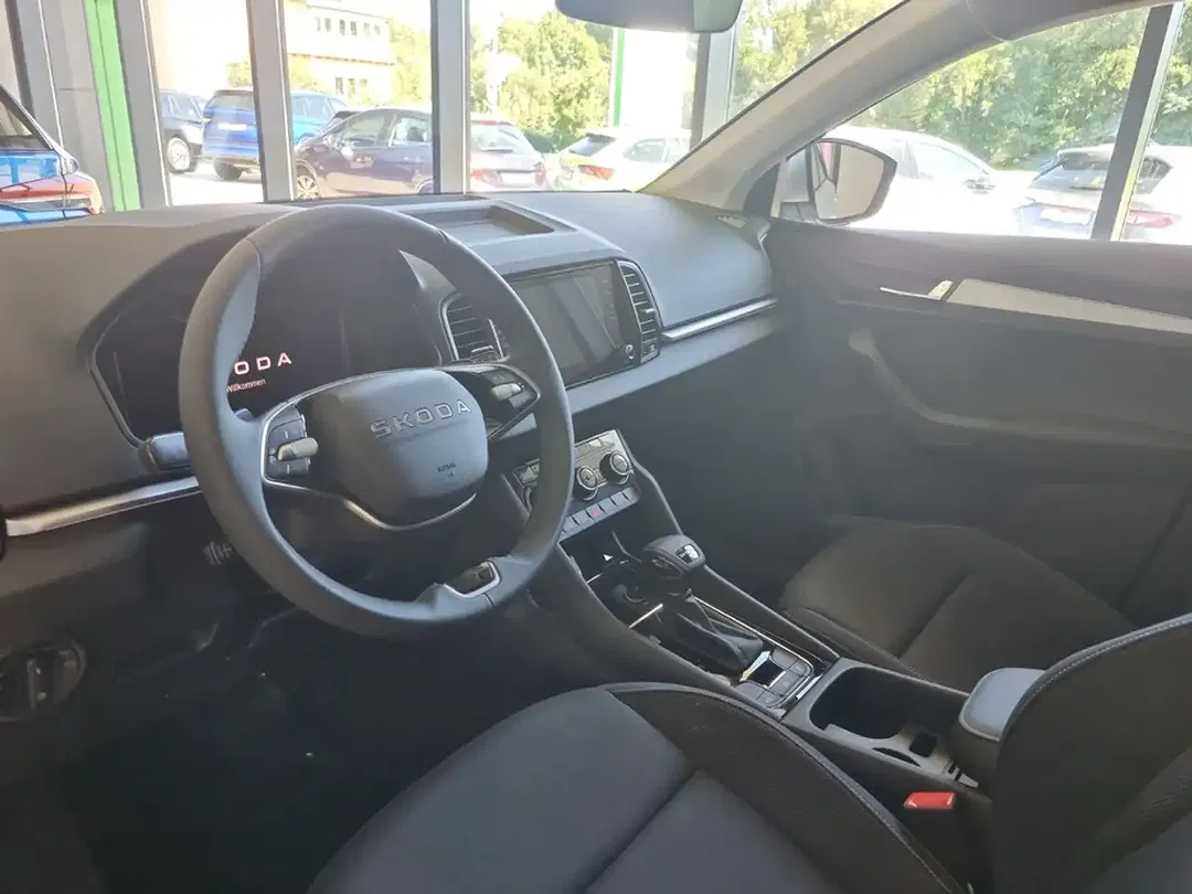 Skoda Karoq - Thumbnail 11