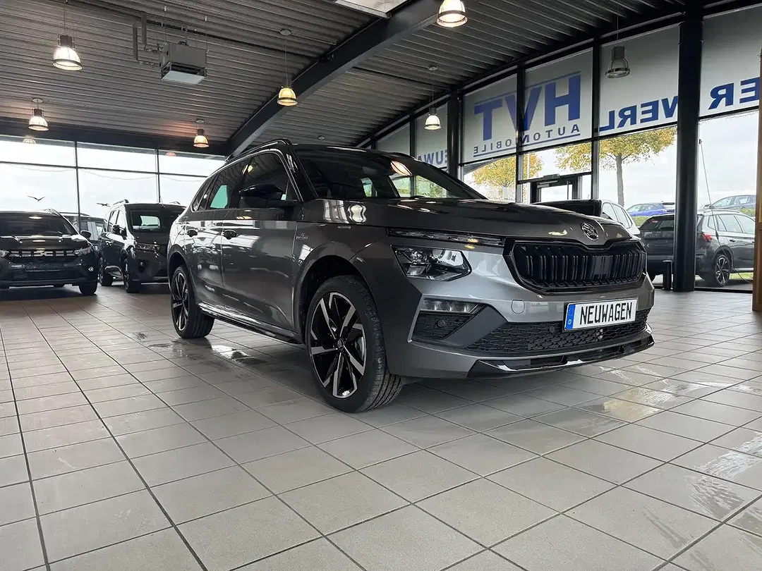 Skoda Kamiq - Thumbnail 8