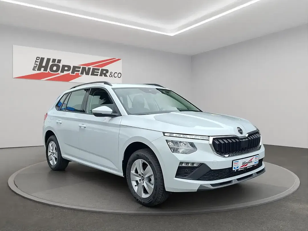 Skoda Kamiq - Thumbnail 8