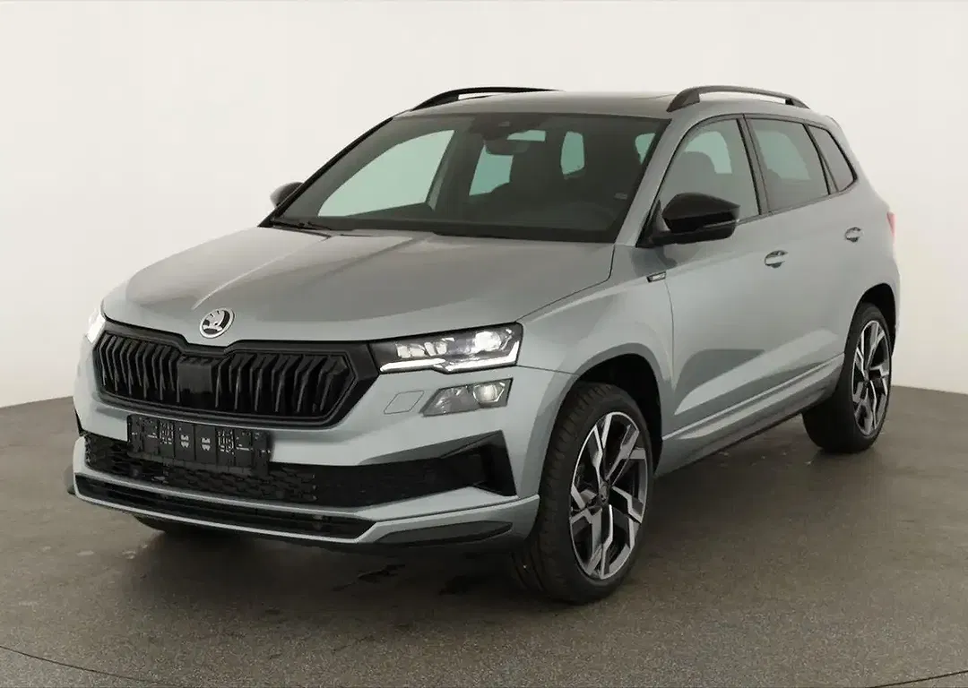 Skoda Karoq - Thumbnail 1