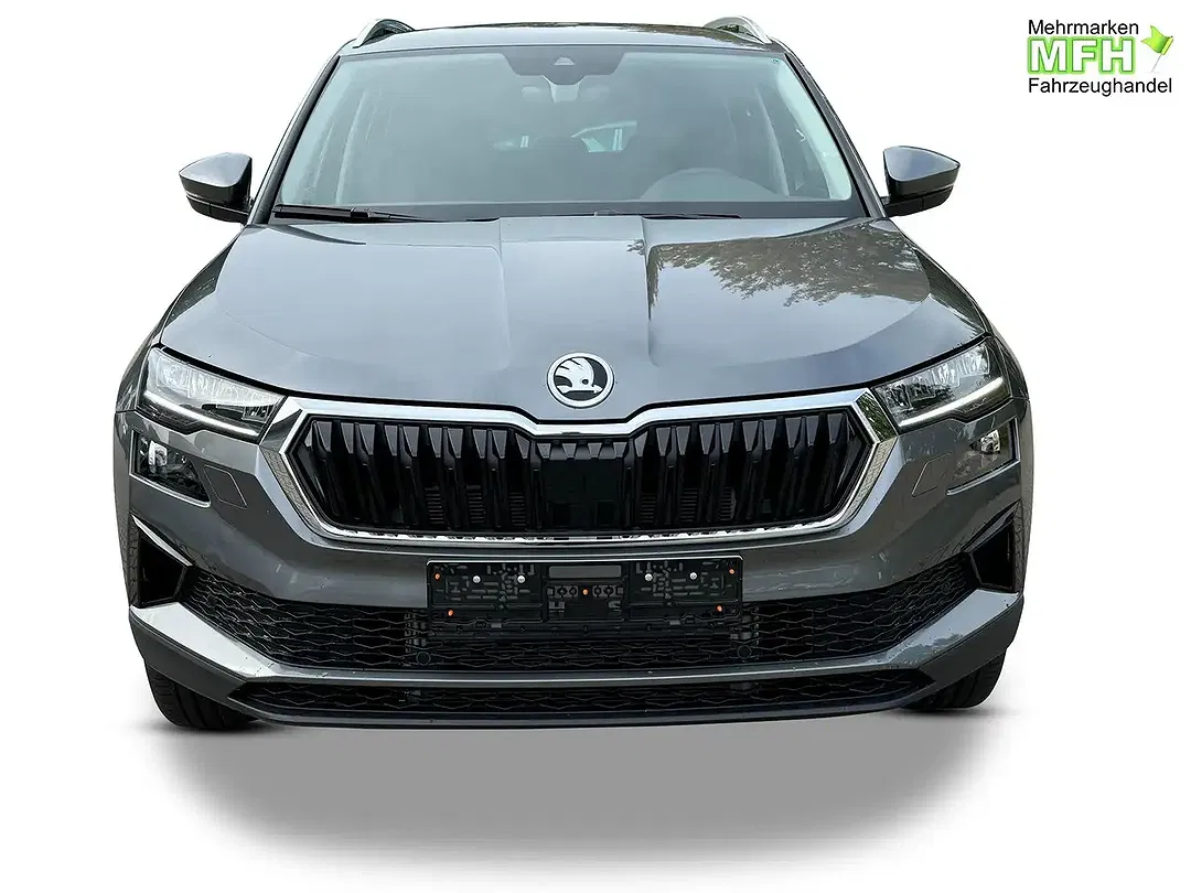 Skoda Karoq - Thumbnail 7