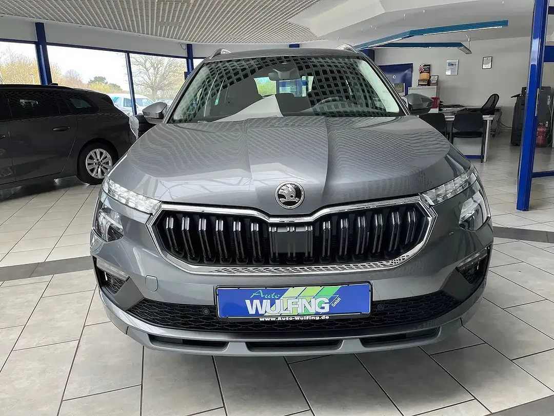 Skoda Kamiq - Thumbnail 6