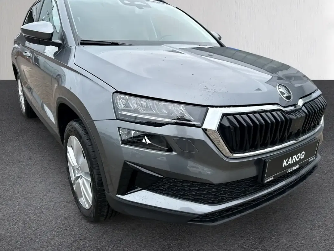 Skoda Karoq - Thumbnail 10