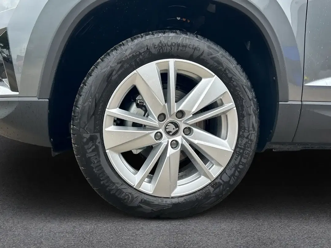 Skoda Karoq - Thumbnail 11