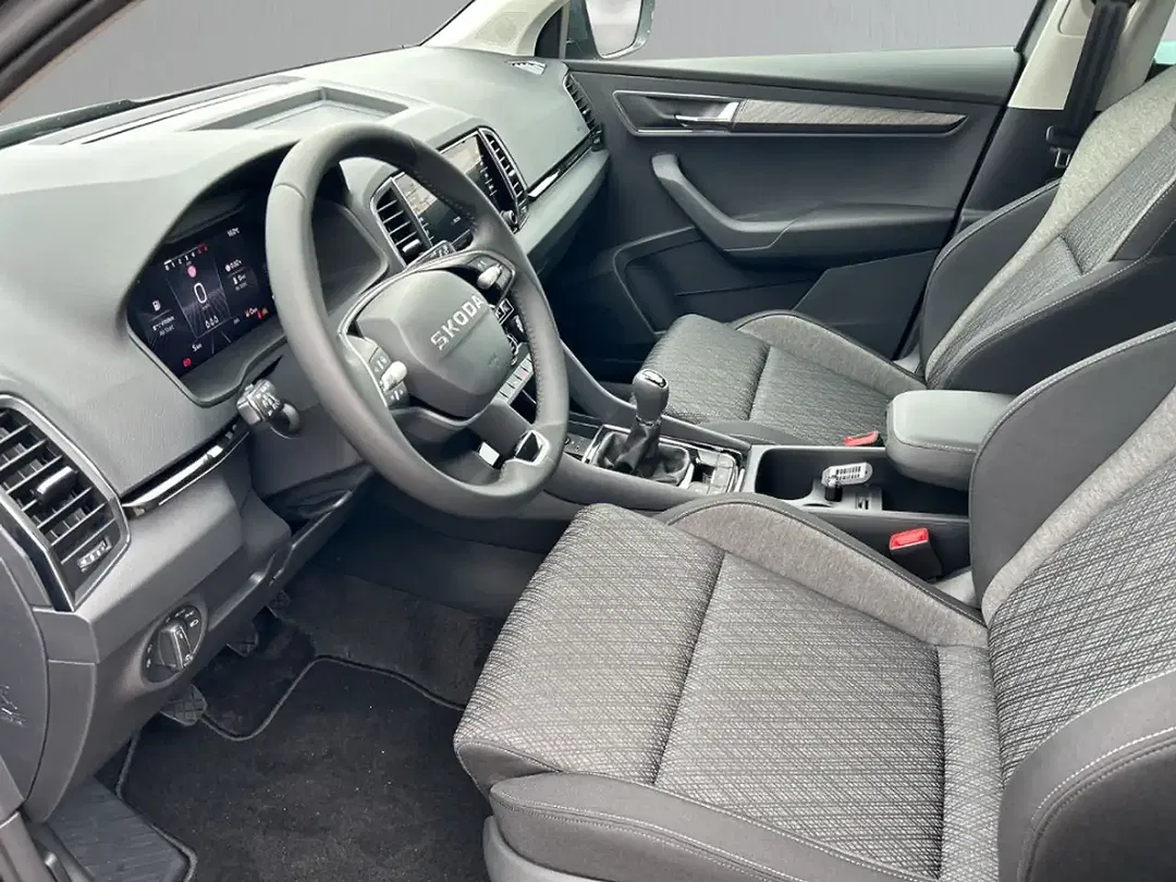 Skoda Karoq - Thumbnail 13