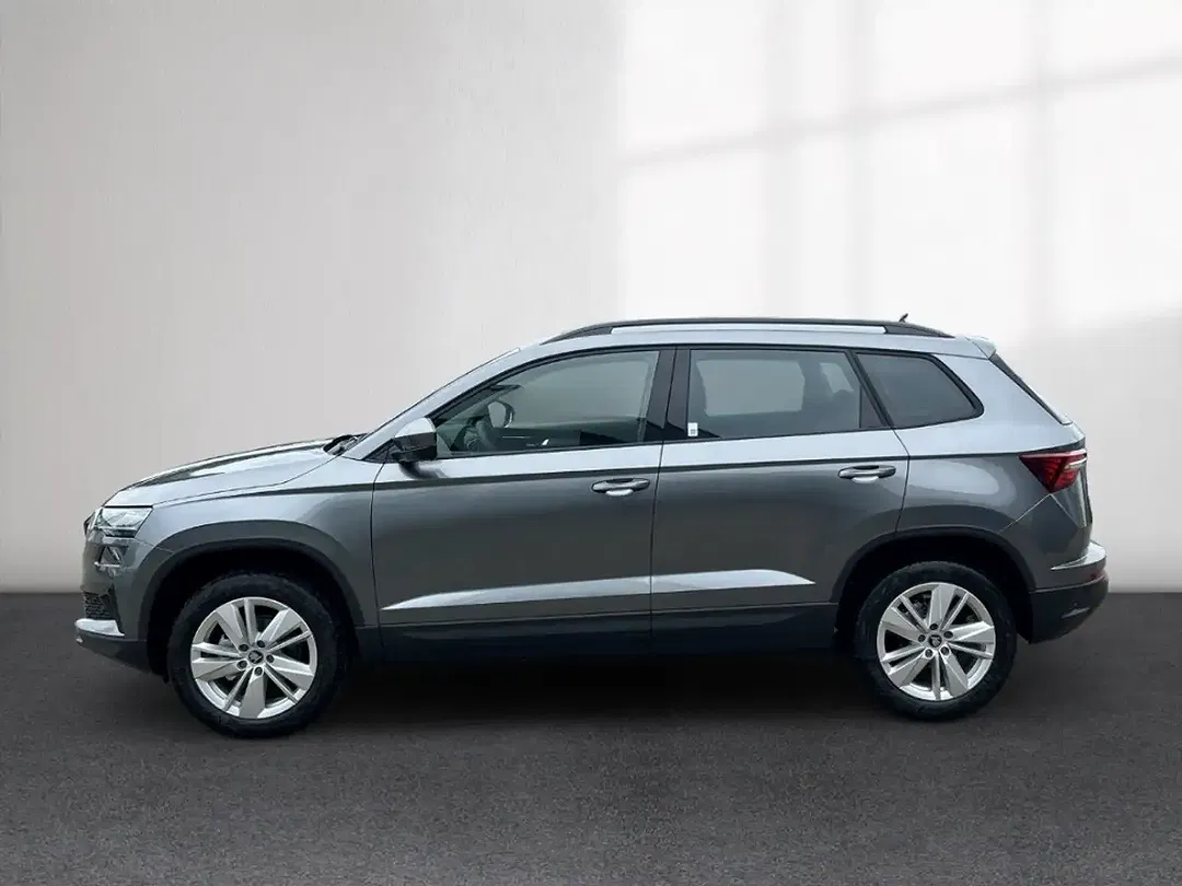 Skoda Karoq - Thumbnail 2