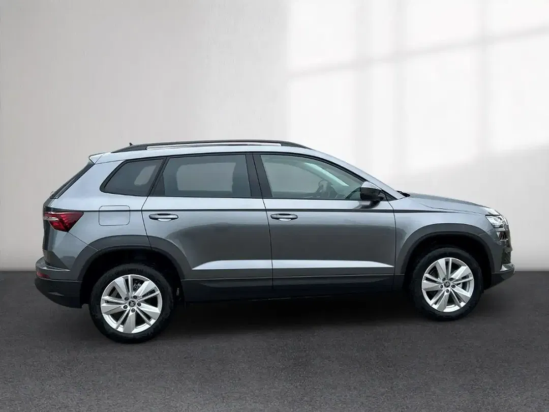 Skoda Karoq - Thumbnail 6