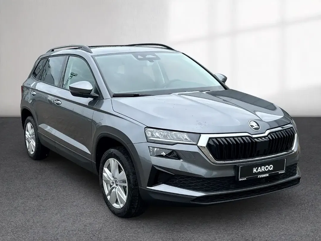 Skoda Karoq - Thumbnail 7