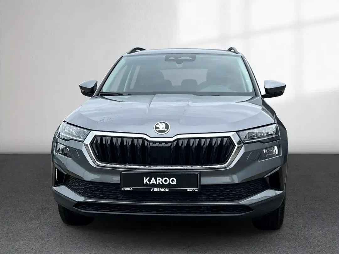 Skoda Karoq - Thumbnail 8
