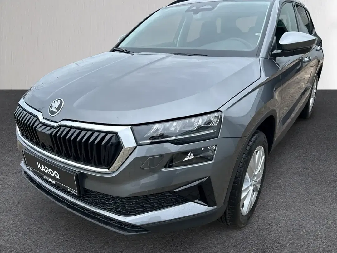 Skoda Karoq - Thumbnail 9