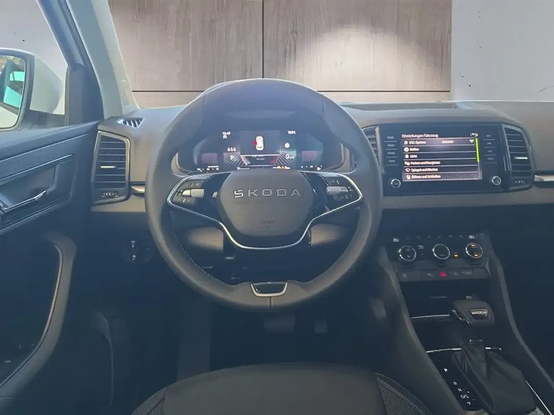 Skoda Karoq - Thumbnail 13