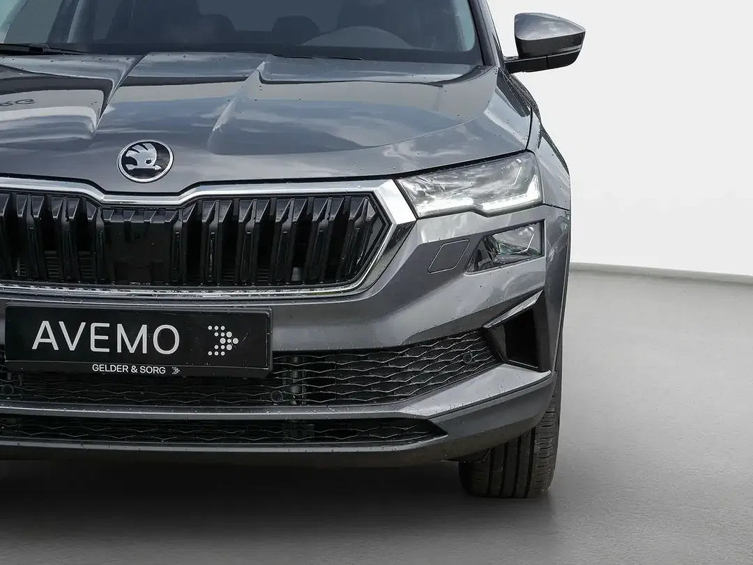 Skoda Karoq - Thumbnail 11