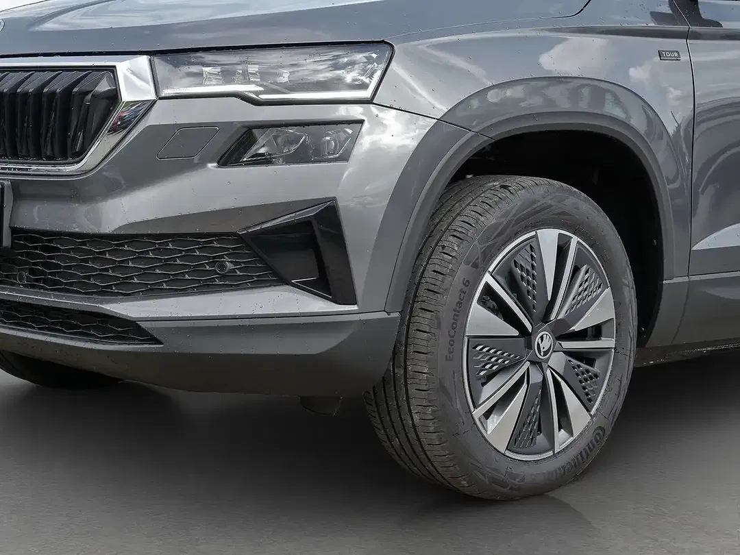 Skoda Karoq - Thumbnail 12