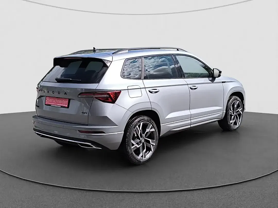 Skoda Karoq - Thumbnail 10