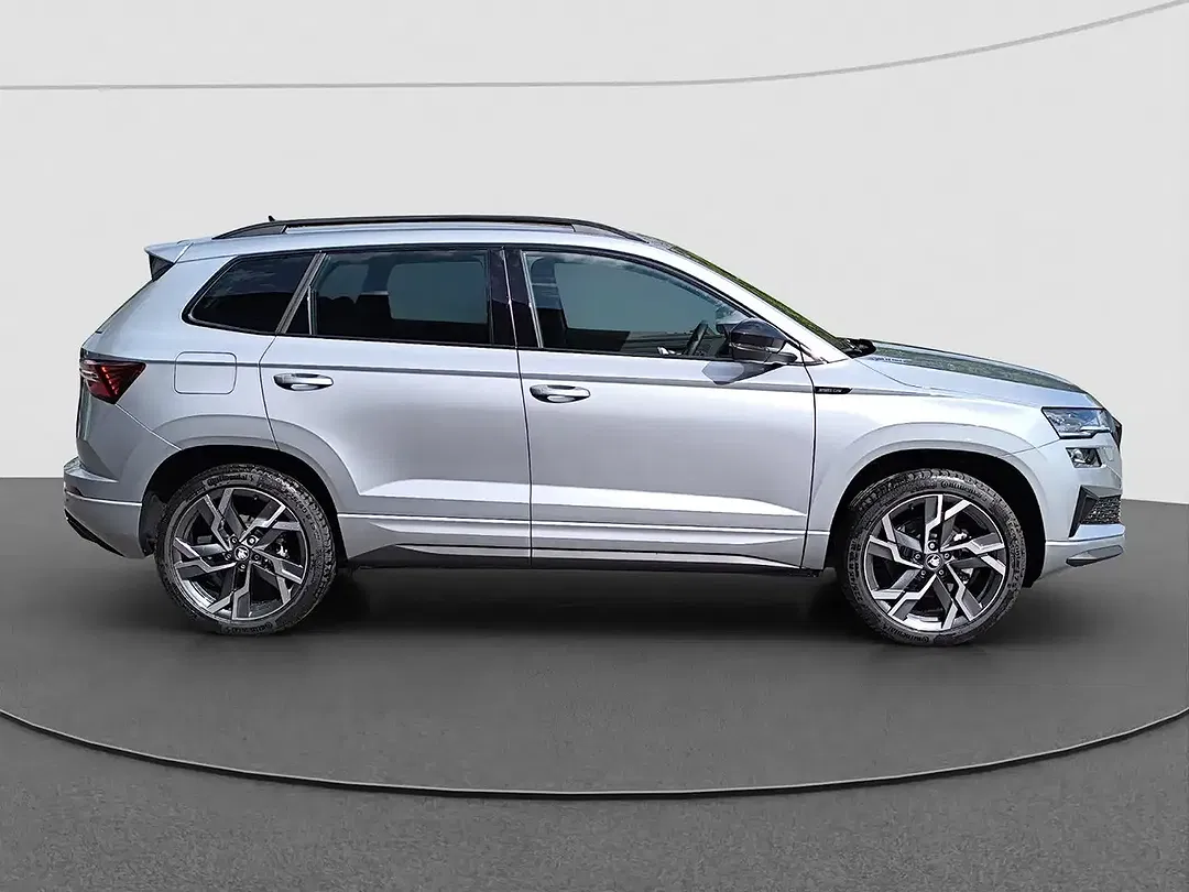 Skoda Karoq - Thumbnail 11