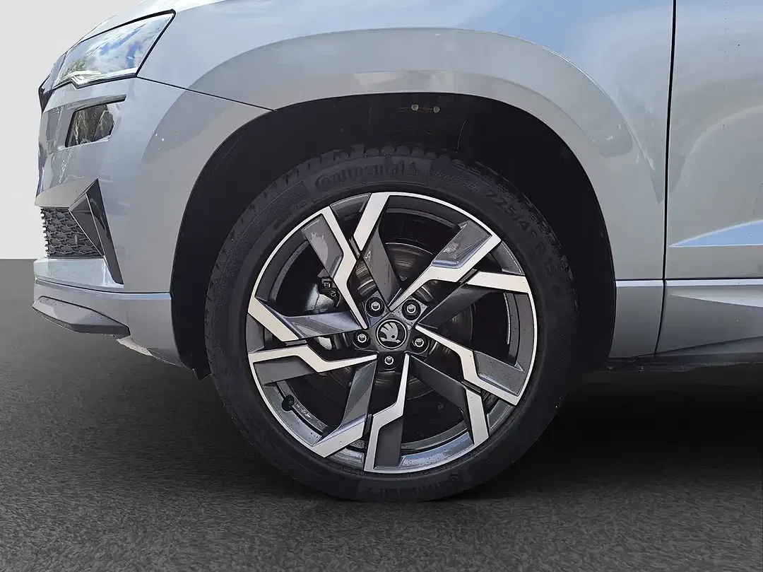 Skoda Karoq - Thumbnail 12