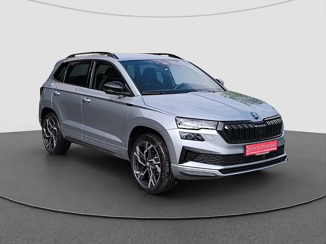 Skoda Karoq - Thumbnail 6