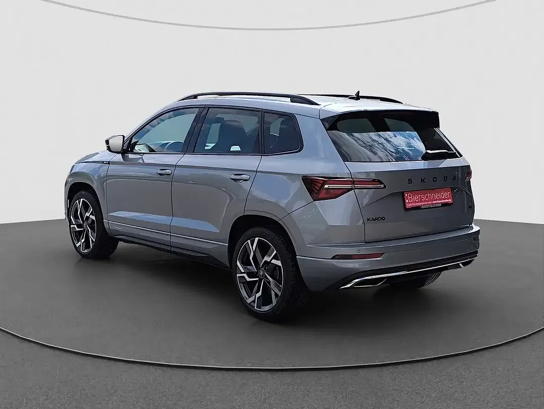 Skoda Karoq - Thumbnail 8