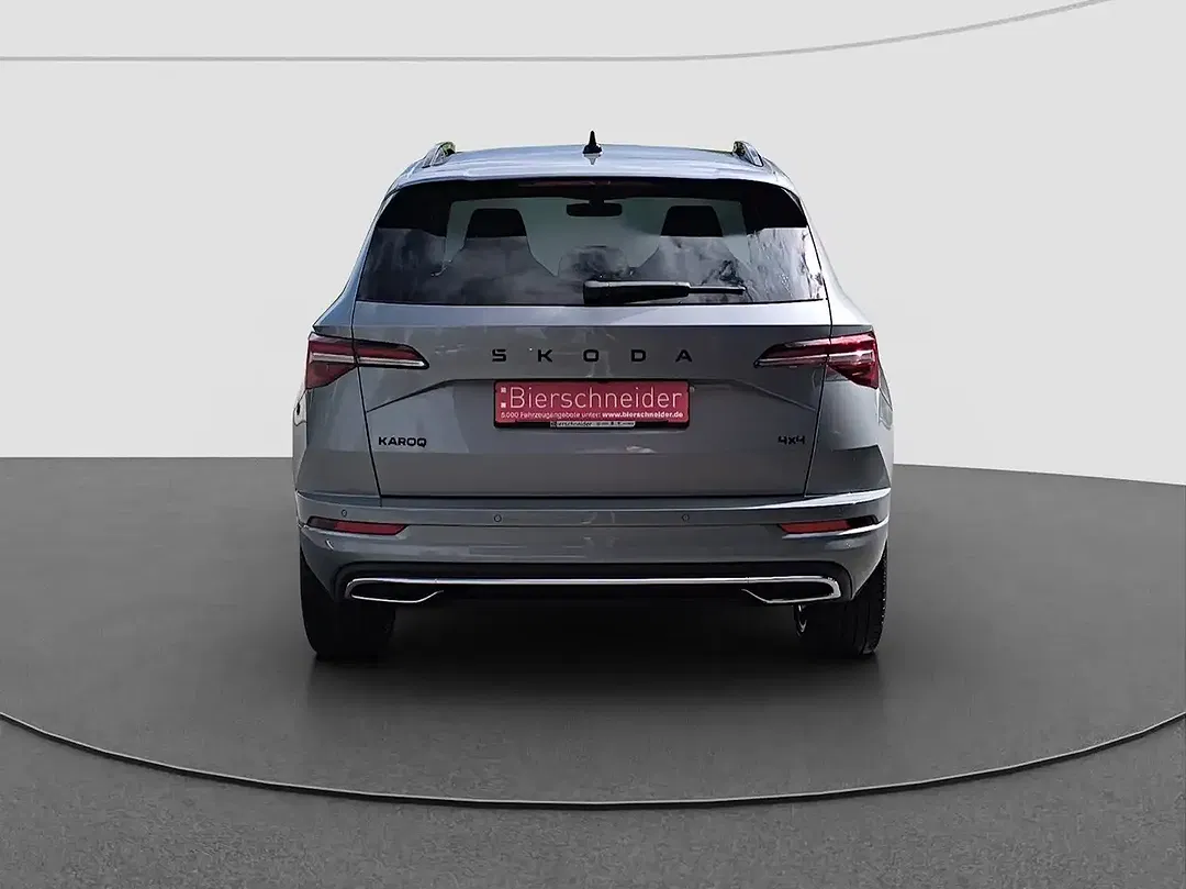 Skoda Karoq - Thumbnail 9