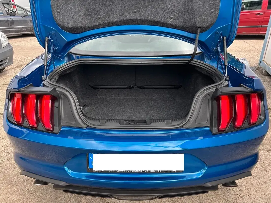 Ford Mustang - Thumbnail 18