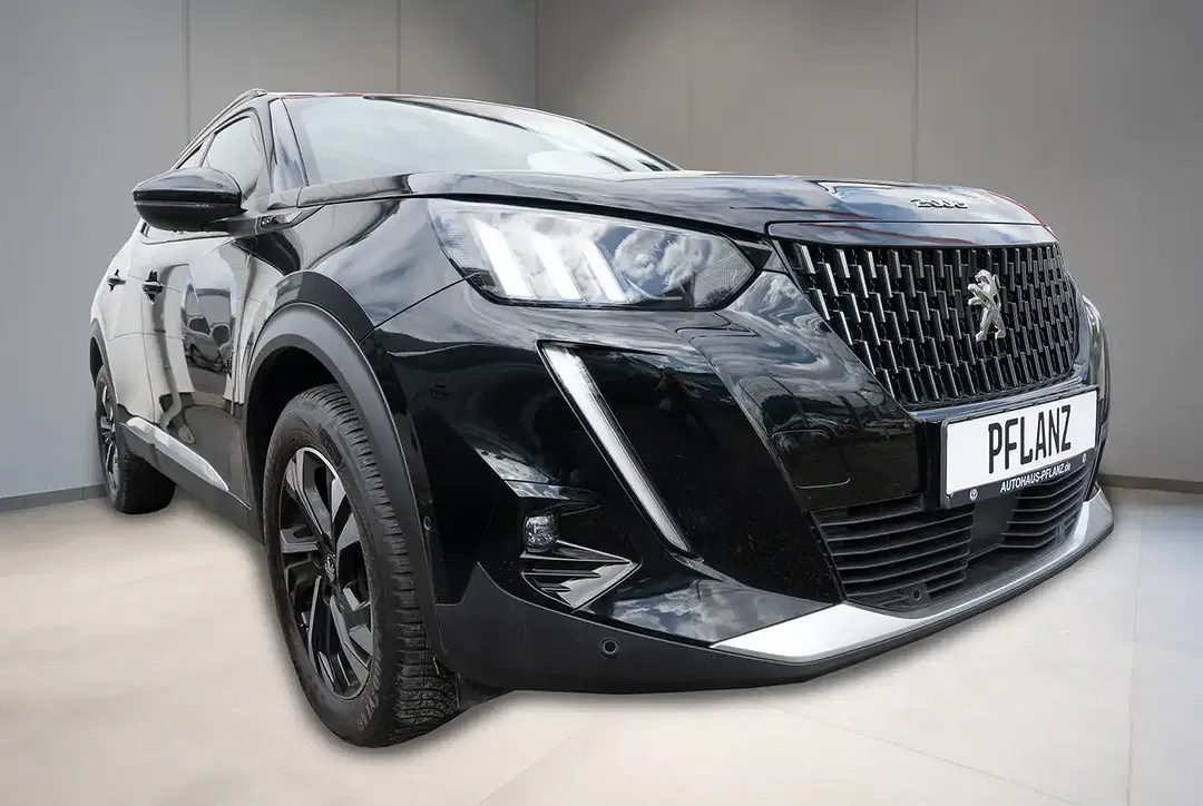 Peugeot 2008 - Thumbnail 2