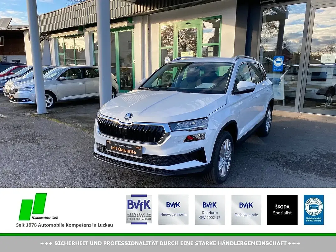 Skoda Karoq - Thumbnail 1