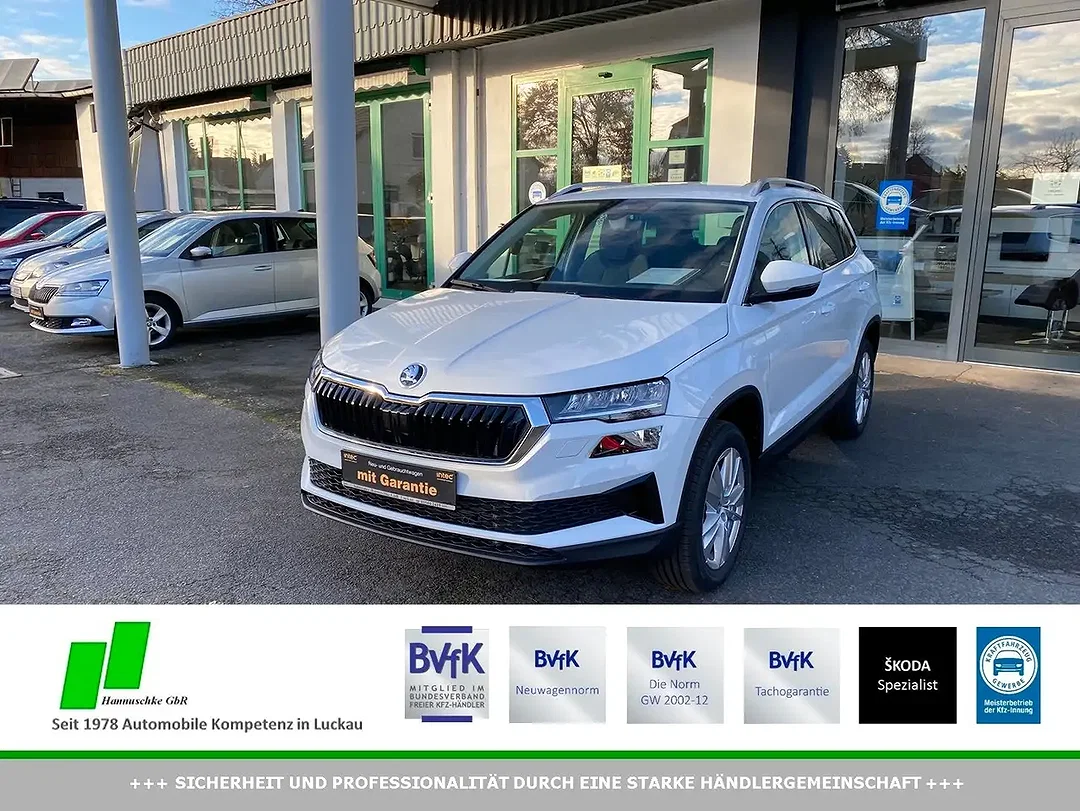 Skoda Karoq - Afbeelding 1