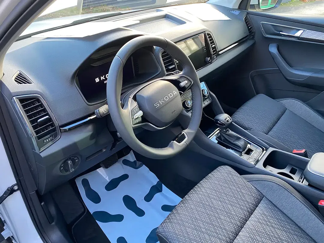 Skoda Karoq - Thumbnail 11