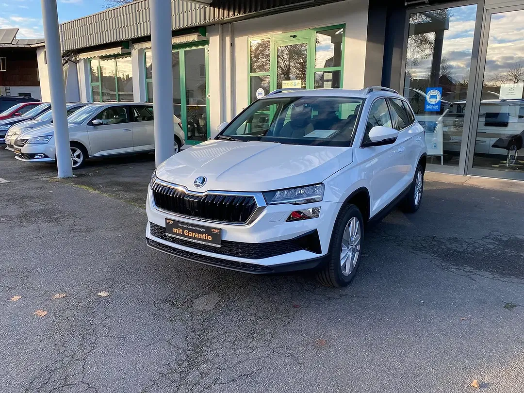 Skoda Karoq - Thumbnail 3